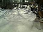 2005-01-23_snow-storm 064.JPG